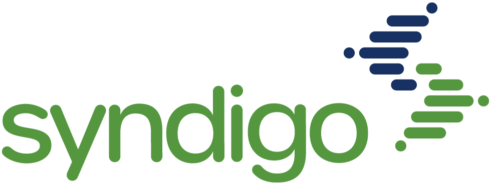 logo syndigo notag main rgb